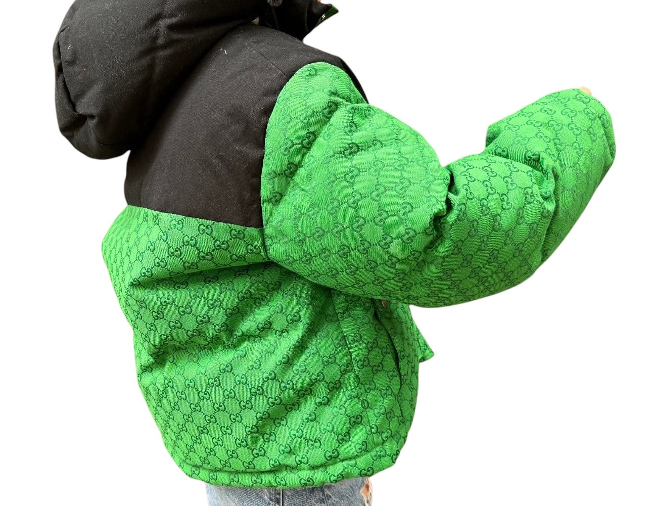 Gucci x Northface (Celerity Favorite)Unisex Green and Black Block Puffer Jacket